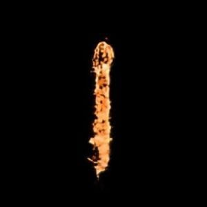 space_cell